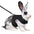 Guinea Pig Rabbit Rope Minipet Traction Vest Chest Back
